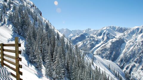 Aspen