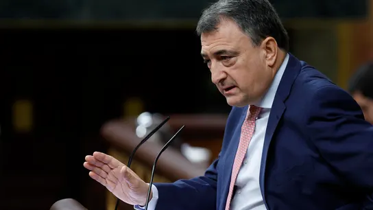 El portavoz del PNV en el Congreso, Aitor Esteban. El portavoz del PNV en el Congreso, Aitor Esteban.