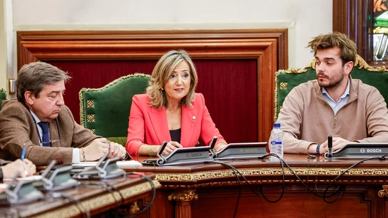 Cristina Ibarrola (UPN) Cristina Ibarrola (UPN)