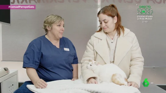 ¿Tu gato se orina fuera del arenero? ¡No le riñas y llévale al veterinario! ¿Tu gato se orina fuera del arenero? ¡No le riñas y llévale al veterinario!