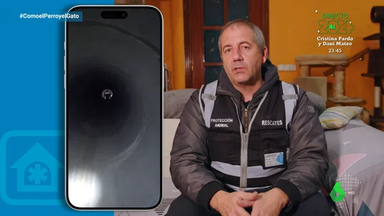 Las casas de acogida “enfermeras”, familias con un don especial en la recuperación de gatos Las casas de acogida “enfermeras”, familias con un don especial en la recuperación de gatos