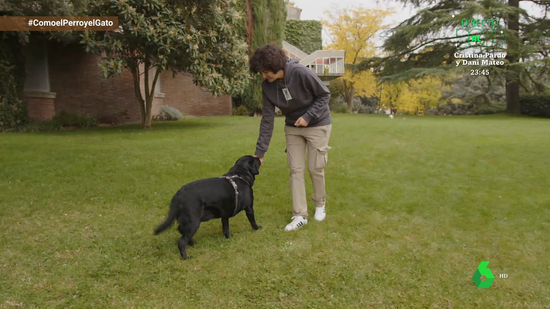 El Luring, una técnica básica y divertida para educar a nuestro perro