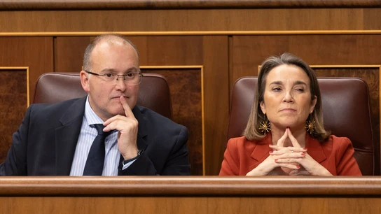 El portavoz del PP en el Congreso, Miguel Ángel Tellado y la secretaria general del PP, Cuca Gamarra. El portavoz del PP en el Congreso, Miguel Ángel Tellado y la secretaria general del PP, Cuca Gamarra.