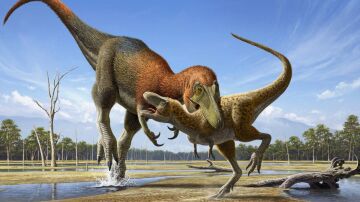 Fosiles que se creian de Tyrannosaurus rex son una especie distinta de dinosaurio mas pequeno