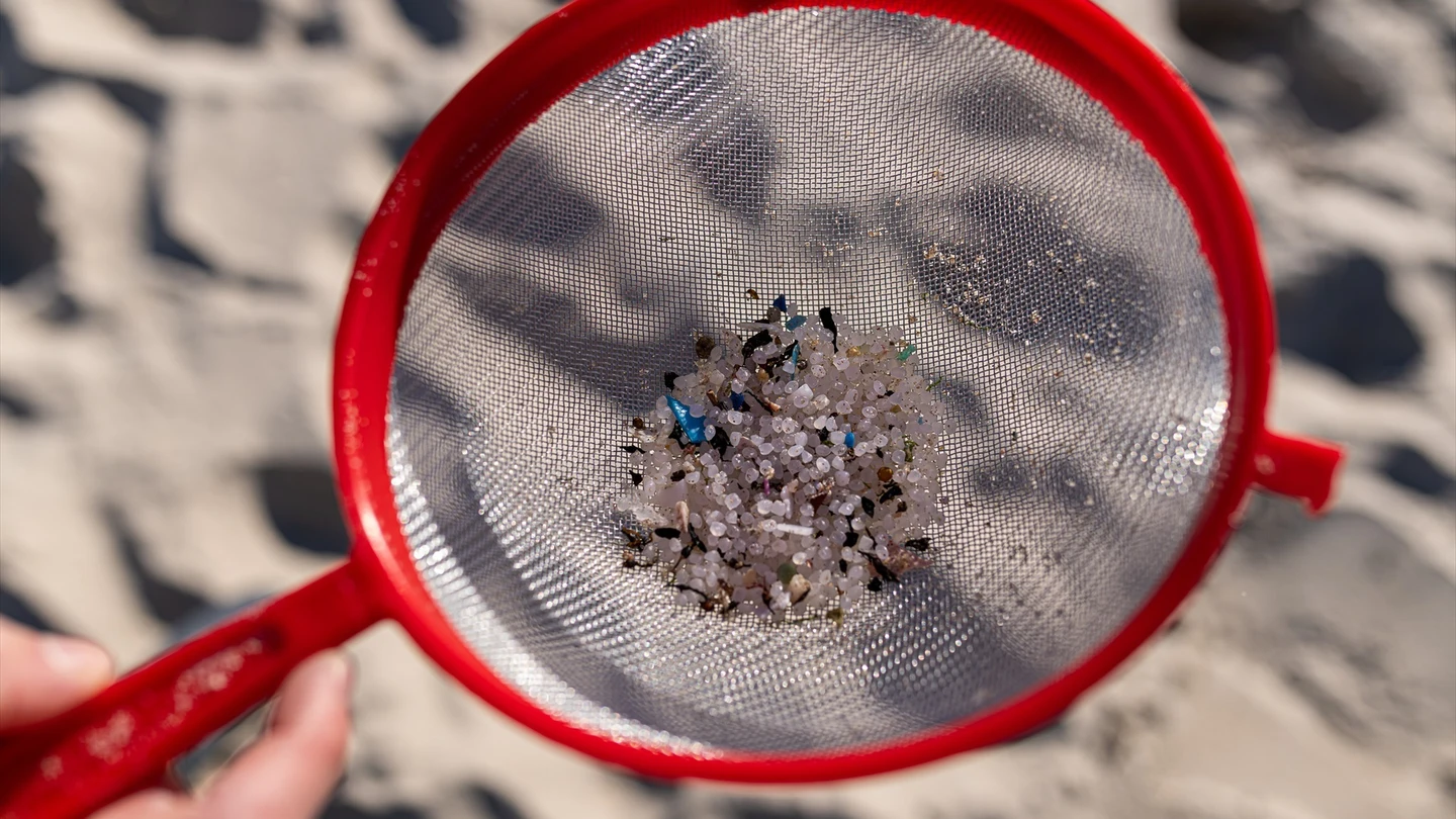 Voluntarios hacen una recogida de pellets de la arena, Galicia, a 7 de enero de 2024, en A Coruña, Galicia (España). Voluntarios hacen una recogida de pellets de la arena, Galicia, a 7 de enero de 2024, en A Coruña, Galicia (España).
