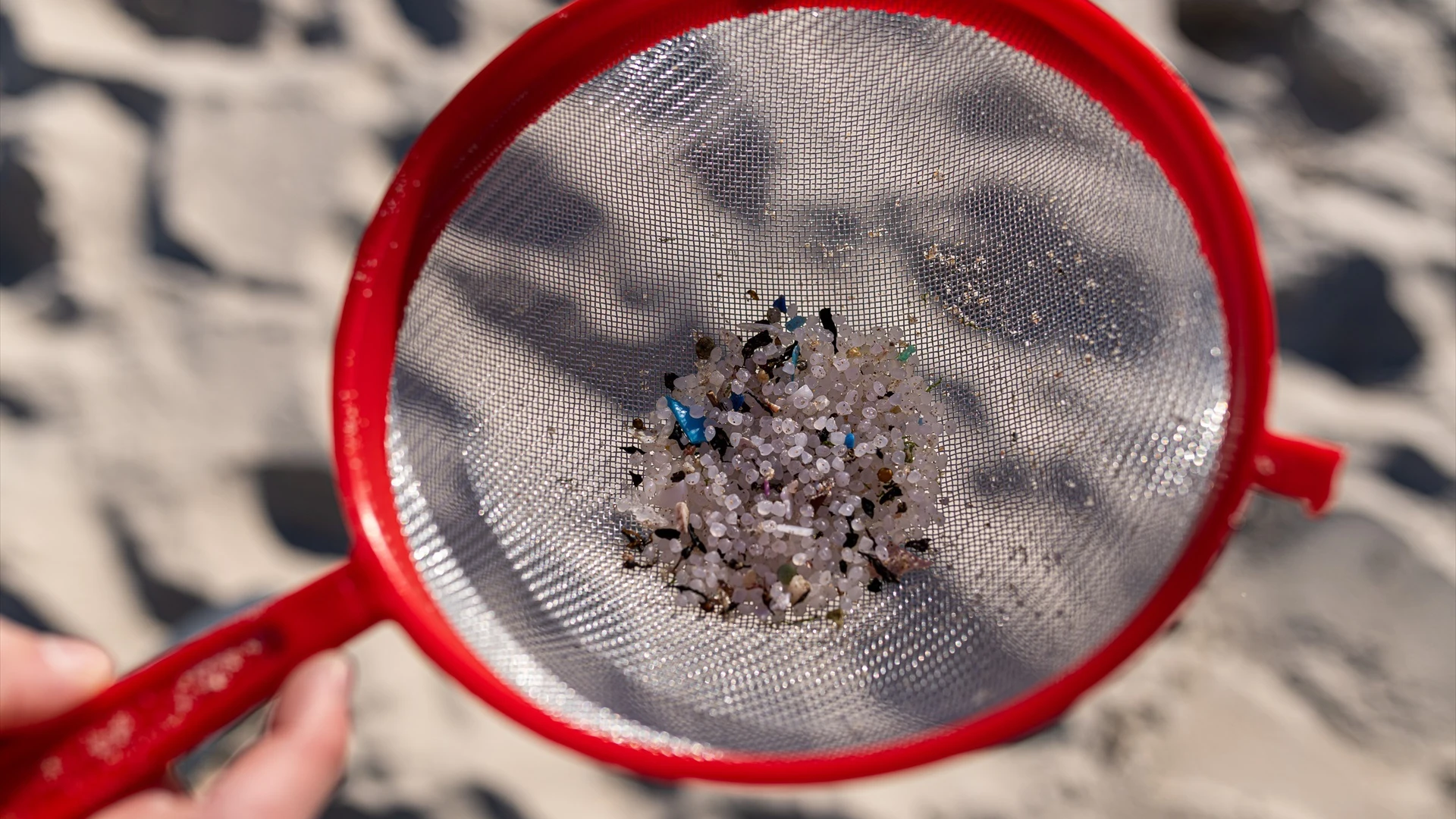 Voluntarios hacen una recogida de pellets de la arena, Galicia, a 7 de enero de 2024, en A Coruña, Galicia (España). 