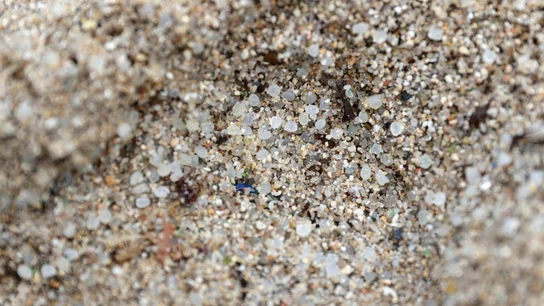 Fotografía de ayer de pellets, que han aparecido en las costas gallegas y asturianas Fotografía de ayer de pellets, que han aparecido en las costas gallegas y asturianas/ EFE/Cabalar