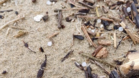 Microplásticos en playas asturianas. Microplásticos en playas asturianas.