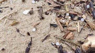 Microplásticos en playas asturianas.