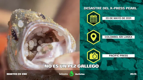 pez pellets pez pellets