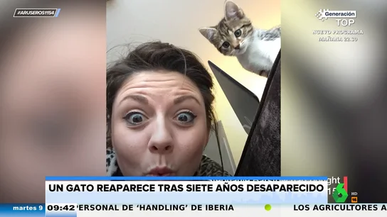 Un gato regresa a casa tras haber estado 7 años desaparecido Un gato regresa a casa tras haber estado 7 años desaparecido