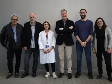 autores de la investigación autores de la investigación
