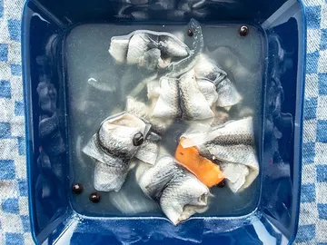 Suutarinlohi Suutarinlohi