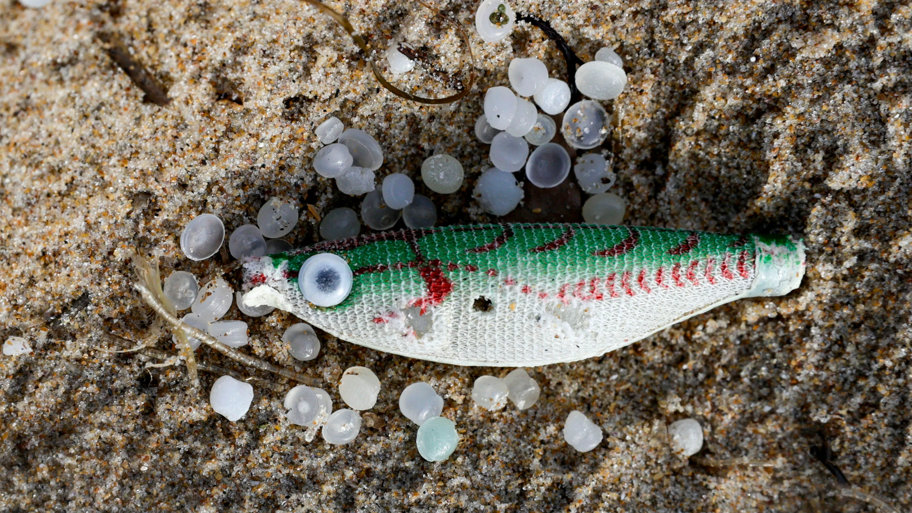 Un pez sintético, empleado como señuelo de pesca, entre varios pellets de plástico en la playa de Ber, del concello coruñés de Pontedeume.