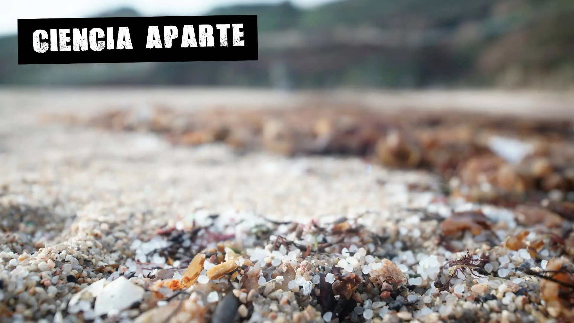 Pellets de plástico en la playa de Sabón, a 9 de enero de 2024, en A Coruña, Galicia (España).