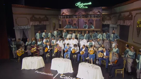 El coro 'El gremio' en la fase preliminar del COAC de 2024 El coro 'El gremio' en la fase preliminar del COAC de 2024
