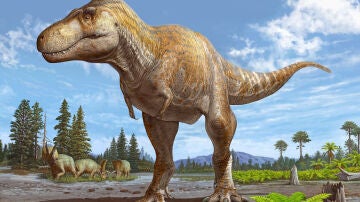 Recreaci&oacute;n del Tyrannosaurus mcraeensis
