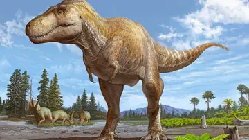 Recreación del Tyrannosaurus mcraeensis Recreación del Tyrannosaurus mcraeensis