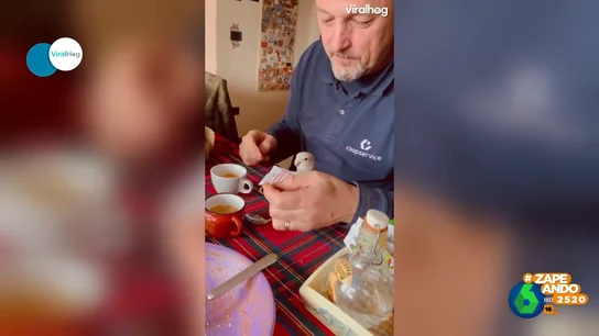 "¡Vaya piquito fino!": la sorprendente habilidad de un agaporni para ayudar a su dueño a endulzar su café "¡Vaya piquito fino!": la sorprendente habilidad de un agaporni para ayudar a su dueño a endulzar su café