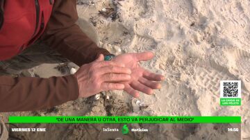 De colaborar en el Prestige a recoger pélets: los voluntarios gallegos que vuelven a limpiar sus playas 20 años después