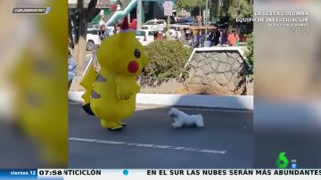 Dos perros atacan a un pobre pikachu que andaba tranquilamente por la calle