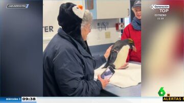 El vídeo viral de la abuela que acaricia por primera vez a un pingüino y llora de emoción