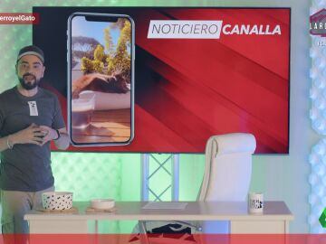 Gatos clonados en China y el australiano que mordi&oacute; en el ojo a un cocodrilo