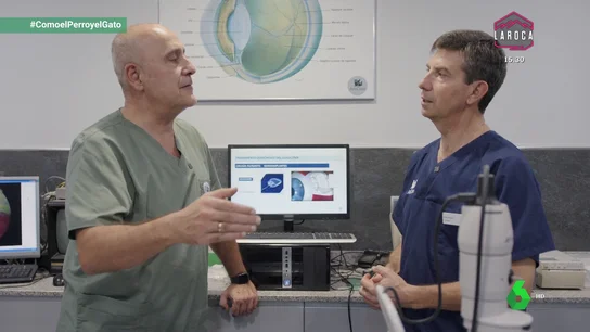 Evitan que un bóxer se quede ciego operando su único ojo sano Evitan que un bóxer se quede ciego operando su único ojo sano