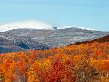 Kilpisjärvi (Finlandia) en otoño Kilpisjärvi (Finlandia) en otoño