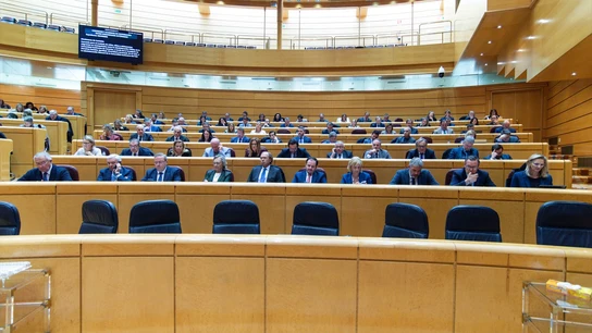 Imagen de archivo de una vista general de una sesión en el Senado Imagen de archivo de una vista general de una sesión en el Senado/ Gustavo Valiente / Europa Press