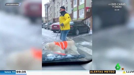 La increíble reacción de un perro guía cuando casi atropellan a su dueño invidente La increíble reacción de un perro guía cuando casi atropellan a su dueño invidente