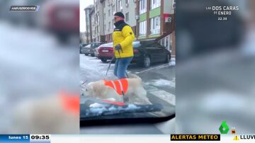 La increíble reacción de un perro guía cuando casi atropellan a su dueño invidente