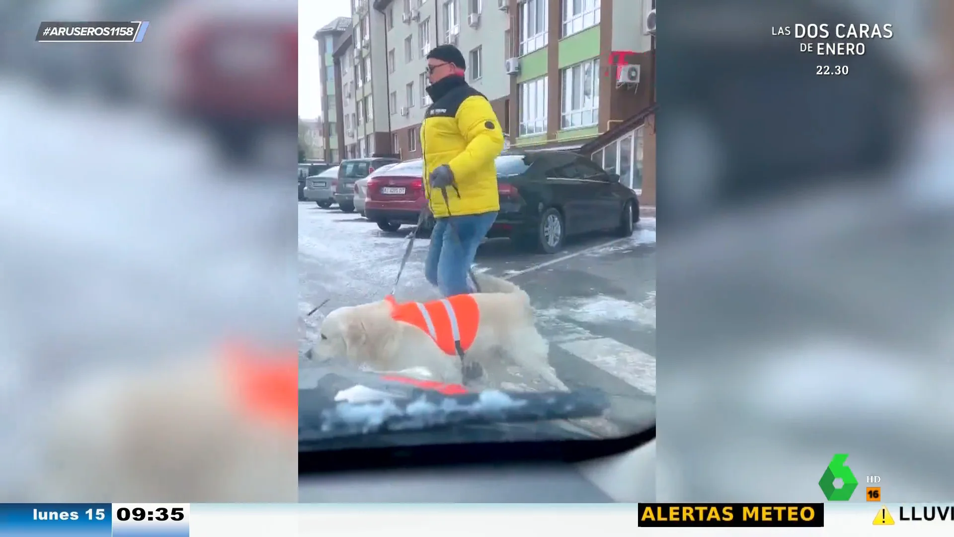 La increíble reacción de un perro guía cuando casi atropellan a su dueño invidente