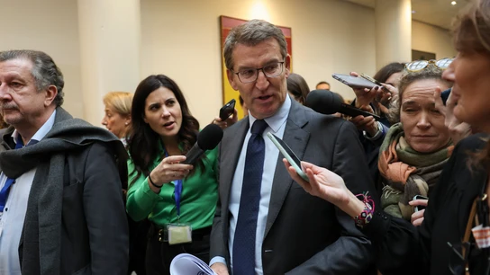 Alberto Núñez Feijóo, líder del PP, atiende a los medios de comunicación en el Senado Alberto Núñez Feijóo, líder del PP, atiende a los medios de comunicación en el Senado