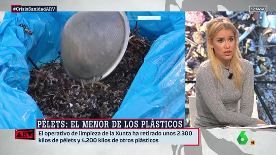 La reflexión de Afra Blanco sobre la gestión de los pellets: "No se aprendió nada del Prestige" La reflexión de Afra Blanco sobre la gestión de los pellets: "No se aprendió nada del Prestige"