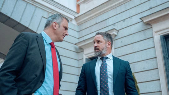 Santiago Abascal y Javier Ortega Smith, tras una sesión plenaria en el Congreso de los Diputados Santiago Abascal y Javier Ortega Smith, tras una sesión plenaria en el Congreso de los Diputados