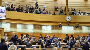 Personas aplauden desde la tribuna de invitados la eliminación del término "disminuidos" de la Constitución