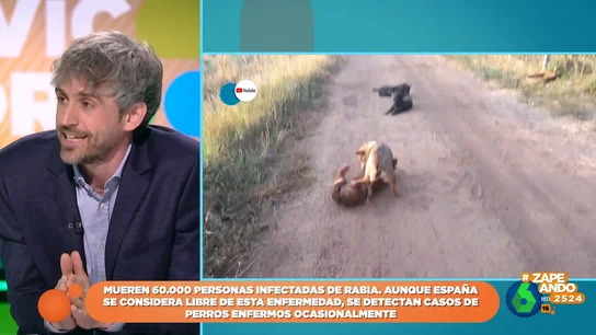 ¿Por qué debemos vacunar a nuestras mascotas contra la rabia? ¿Por qué debemos vacunar a nuestras mascotas contra la rabia?