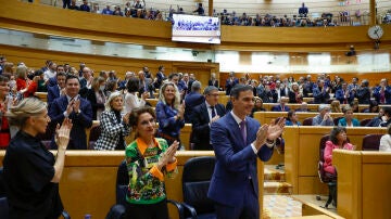 Sánchez y los diputados socialistas aplauden tras concluir el debate