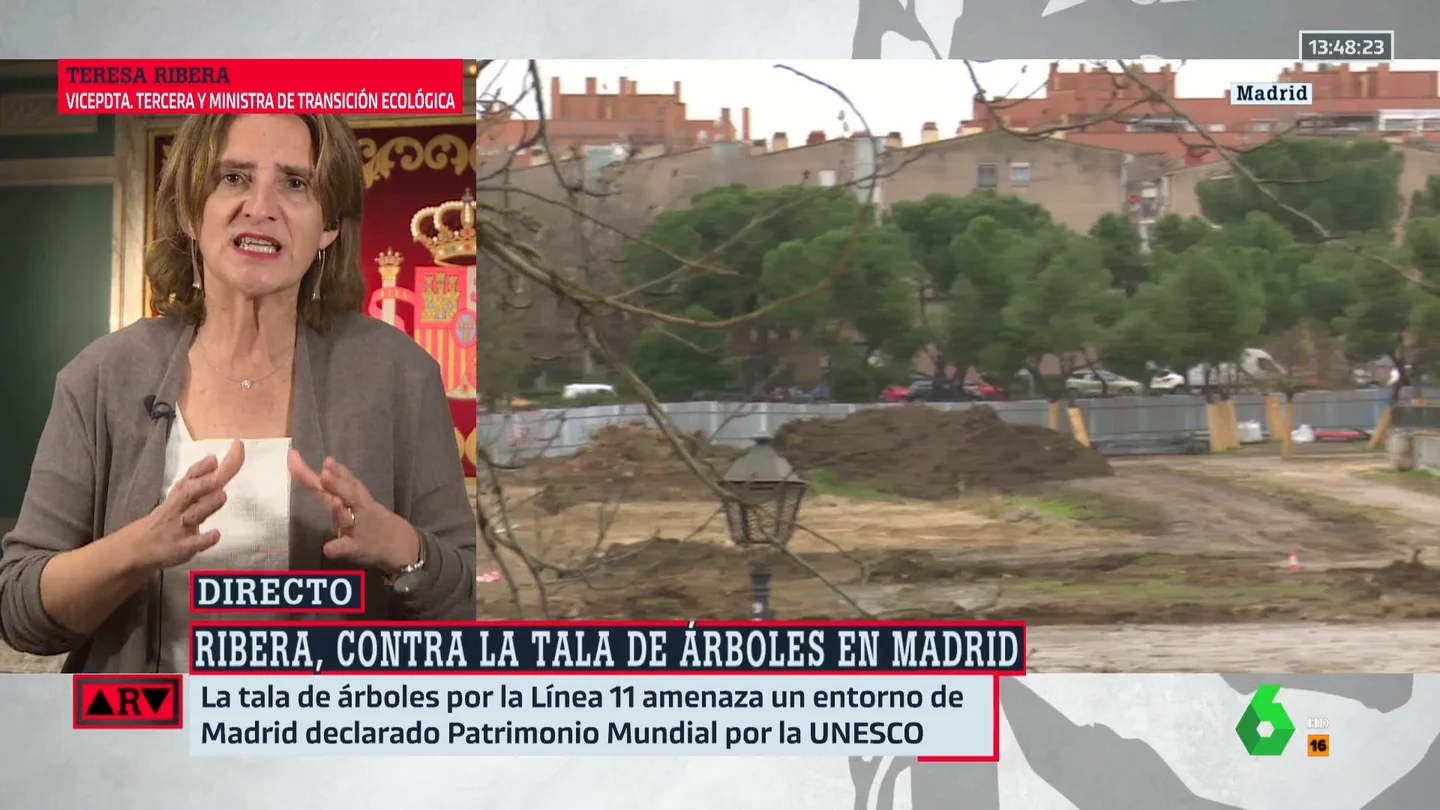 Ribera admite estar "disgustadísima" con la tala de árboles en Madrid: "Son fundamentales" Ribera admite estar "disgustadísima" con la tala de árboles en Madrid: "Son fundamentales"