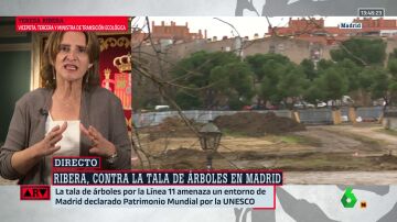Ribera admite estar "disgustadísima" con la tala de árboles en Madrid: "Son fundamentales"
