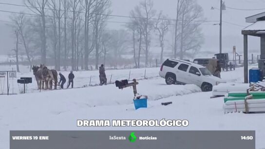 Peatones desliz&aacute;ndose por la calle, caballos rescatando coches, muertos electrocutados... el temporal en EE.UU.