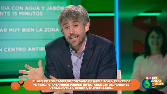 El veterinario Víctor Algra explica qué debemos hacer si nos muerde un perro El veterinario Víctor Algra explica qué debemos hacer si nos muerde un perro
