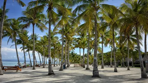 Bohol Bohol