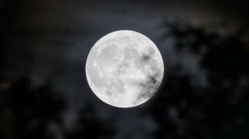 Luna llena de enero 2024 | cuándo y dónde ver la luna del castor 
