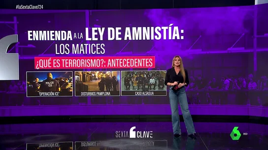 Operación Ice, la agresión de Alsasua: los antecedentes de otros casos calificados como terrorismo Operación Ice, la agresión de Alsasua: los antecedentes de otros casos calificados como terrorismo