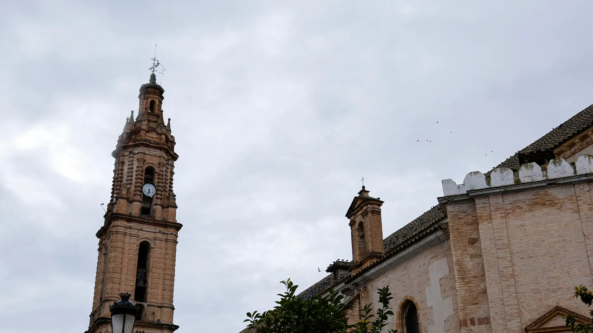 Torre de la Iglesia de Nuestra Señora de la Asunción, en Bujalance (Córdoba) Torre de la Iglesia de Nuestra Señora de la Asunción, en Bujalance (Córdoba)