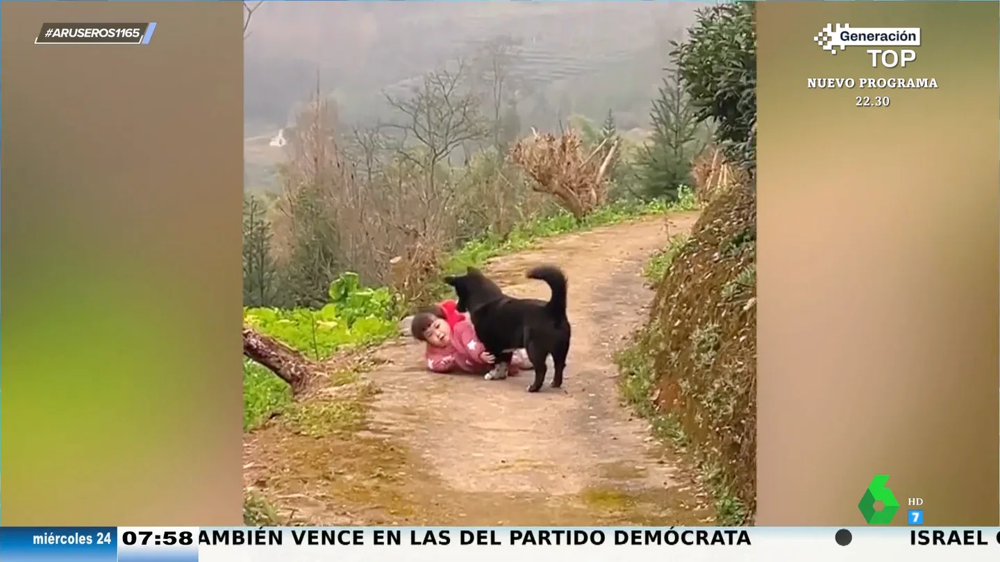 La tierna reacción de un perro cuando una niña se cae al suelo durante su paseo La tierna reacción de un perro cuando una niña se cae al suelo durante su paseo