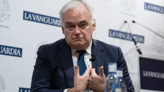 El vicesecretario de Institucional del Partido Popular, Esteban González Pons El vicesecretario de Institucional del Partido Popular, Esteban González Pons/ David Zorrakino / Europa Press