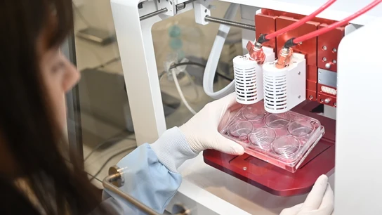 Imagen de archivo de un laboratorio en el que se investiga para producir carne cultivada. Imagen de archivo de un laboratorio en el que se investiga para producir carne cultivada.